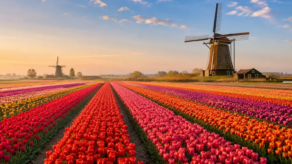Reizigers wandelen door een groene wereldbestemming met uitzicht op bergen